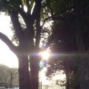 나고야스시덕 | 나고야에 다녀오다