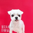 뭉치네 미용실 이미지