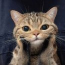 미래 산후조리원 이미지