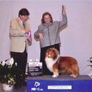 리버티벨 이미지