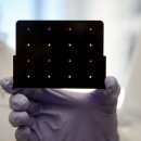 삼성화재앞 인도 이미지