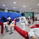 고려용호태권도 이미지