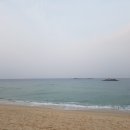 삼호전자
