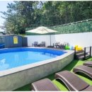 여수 도그펄슨 애견수영장펜션 이미지