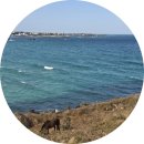 (유)드림렌터카 주사무소 | 제주도 동쪽 여행 코스 가볼만한 곳 총정리 1박2일 여자 셋 (맛집, 숙소, 카페, 기념품, 바다, 체험)