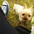 수망리청년회 이미지