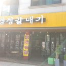 경성갈매기