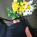 브이엔비 이미지