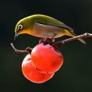 해피투데이 이미지