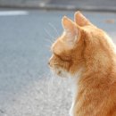 애니컴 메디컬센터 이미지