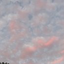 에코중앙로R 이미지