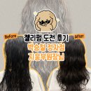 번지웅 | 박승철 정자점 지웅부원장님 | 분당 정자역 미용실에서 젤리펌 도전 후기!