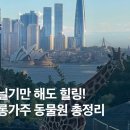 생활속생생부동산 이미지