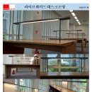와이트라이브