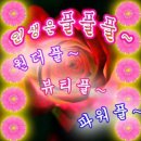 풀풀풀