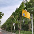 장안초교 앞 이미지