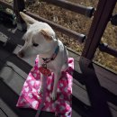 산림욕장 진입로 | 26년 3월 둘째 주 주간일기