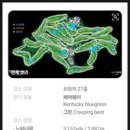 가평잣나무숲하우스 | 가평아난티cc 골프장 잣나무코스 후기