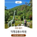 [내돈내산] 경기남부 주말에 아이랑 가볼만한 곳, 덕평공룡수목원 오픈런 솔직후기