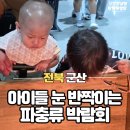 동반자 | 군산 파충류 동반자 박람회 아이랑 방문 솔직후기