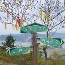 수곡농협주유소 이미지