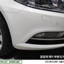 모터스킨