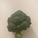 랩스 월평점 이미지