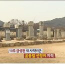 금성관광주 이미지