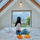 둘하루방 이미지