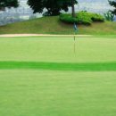 바론 골프 이미지