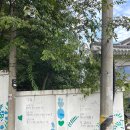 신현국 | 📖 공주 ‘나태주풀꽃문학관’ 방문 🌿