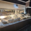 눈꽃을 나누다 이미지