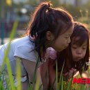 민들레어린이공원 이미지