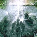 장에스테 이미지