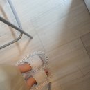 천전통닭 이미지