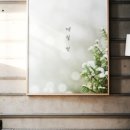 사진의계절 이미지