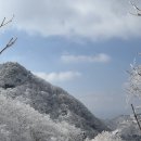 행복둥지 화장실 | ❄️치악산 설산 눈꽃산행 / 원주 까치둥지 알탕 웨이팅·맛·서비스 총정리