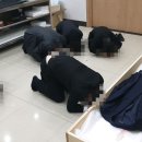 송현장례식장 이미지