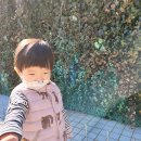 시립영덕어린이집 | 22개월 700일 아기 일상과 주말나들이
