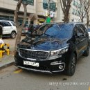 뉴오로라 이미지