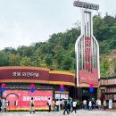 영동와인터널 화장실 이미지