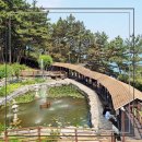 아름다운 떡, 한과 | 보령 죽도 상화원 주차정보 및 입장료 방문후기