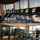 스포데이휘트니스평택
