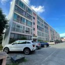 반도보라 이미지