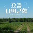 소공상사 | 요즘 나의 근황 (feat. 소속공인중개사 일과)