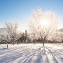 예뻐지는의원 이미지