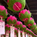 두꺼비로19번길(3-271) | 충주 단풍명소 아이랑 가볼만한곳 석종사 단풍구경하기 좋은 시기