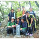 새들보체육공원 이미지