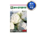 다농플라워