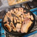 돼지들의이야기 이미지